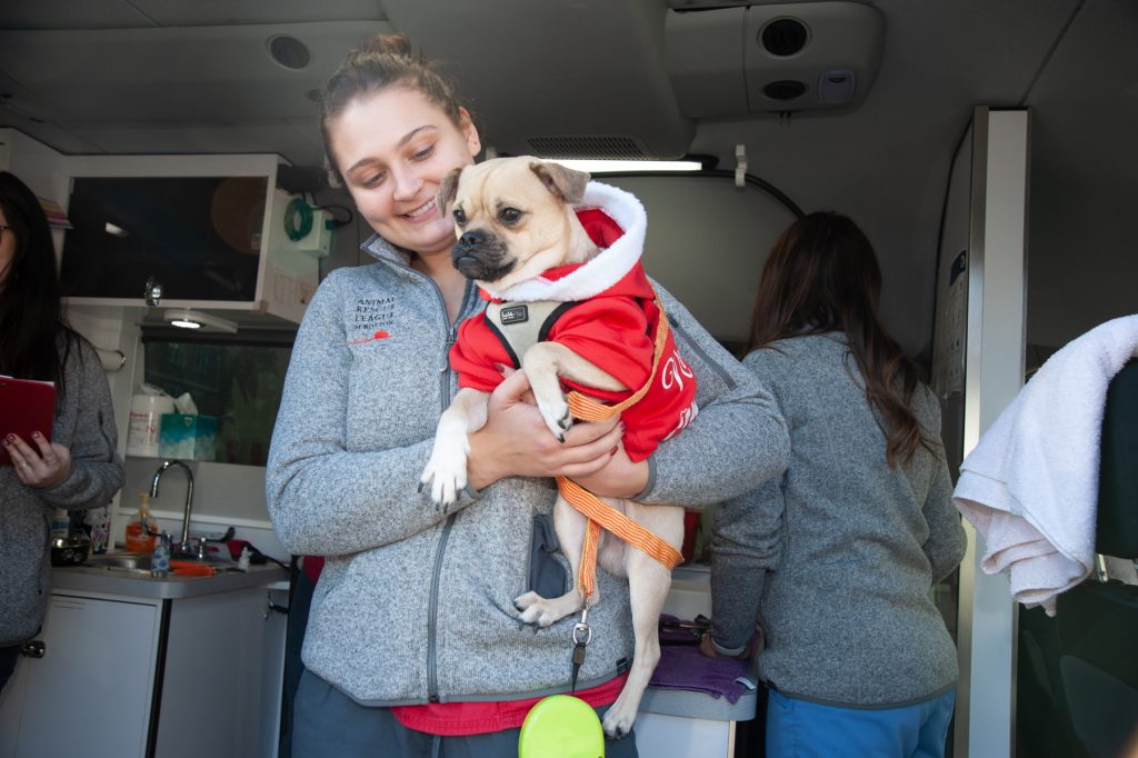 ABCD and the Animal Rescue League of Boston Celebrate 10,000 Wellness  Waggin' Appointments - ABCD Action for Boston Community Development